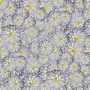 texture of a seamless flower pattern. decorative design elements