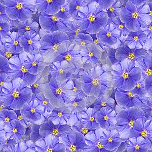 texture of a seamless flower pattern. decorative design elements