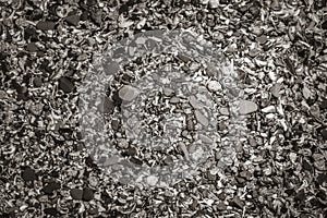 Texture of seashells, beach sand stones. Sea Point Cape Town