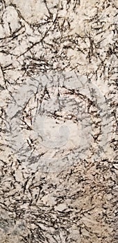 Texture Series - Stone Slab Polished Granite