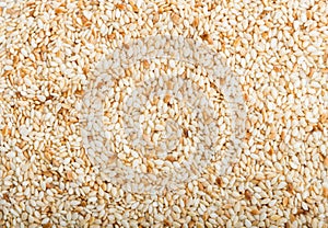 Texture of sesame seeds, top view