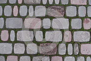 Texture of setts with moss in joints