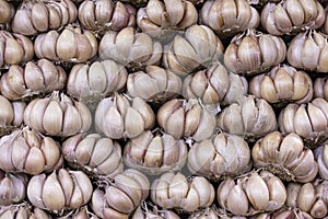 Texture of several raw garlic in the market