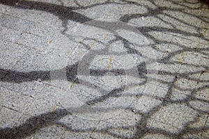 The texture of the shadows on the pavement.