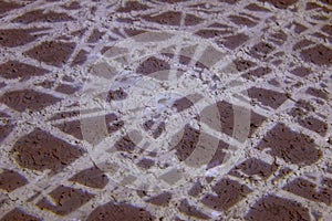 The texture of the shadows on the pavement.