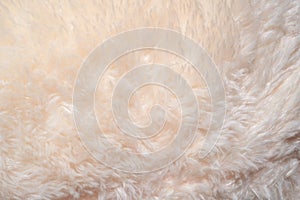 Texture of shaggy fur background. Detail of soft hairy skin material