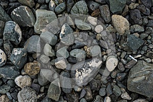 The texture of a shallow river stone