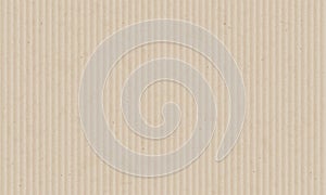 Texture sheet of corrugated cardboard. Blank paper background