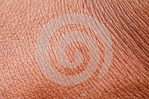 Texture of the skin.Dark skin of woman hand macro. Human skin texture background