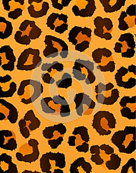 Texture skin leopard animals fur