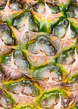 Texture of skin pineapple