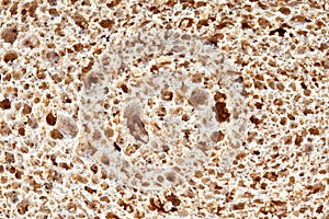 Wholemeal bread texture