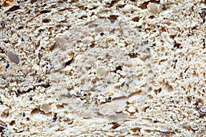 Wholemeal bread texture