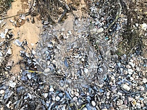 The texture of the small round beautiful natural stones cobblestones sticks and twigs in the woods on the ground. The background