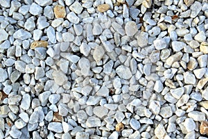 Texture small stones light gray photographed from above