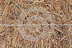 Texture of the stack of hay in close up