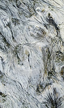 texture of the stone background