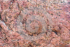 The texture of the stone, the background of sea stone