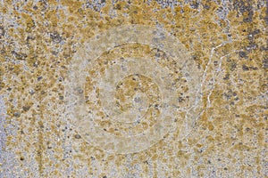 Texture of stone concrete wall with mold and lichen stain fungus