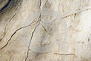 Texture of stone with cracks looks like a bone