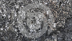 the texture of a stone that is decades old