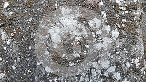 the texture of a stone that is decades old