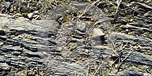 Texture of the Stone Floor