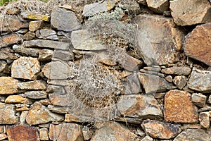 The texture of the stone. Natural mountain stone in the forest. Moss-covered stones in the forest. Granite stones close up