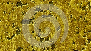 The texture of the stone wall is large