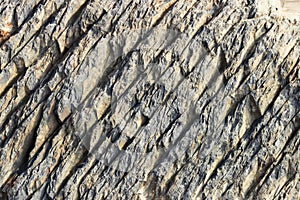 Texture of the stone with white veins. presumably shale rock.