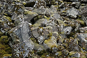 Texture of stones covered by moss