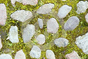 Texture of stones in the grass