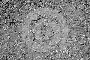 Texture stones, seashells, pebbles