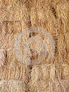 Texture of straw.