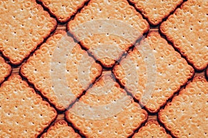 The texture of the sugar cookie cracker. Flat lay biscuit diamond