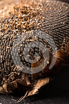 Texture of sunflower seeds. Black sunflower seeds, organic background.