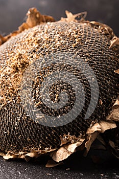 Texture of sunflower seeds. Black sunflower seeds, organic background.