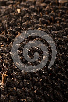 Texture of sunflower seeds. Black sunflower seeds, organic background.