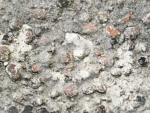 The texture of the surface of the concrete wall with a print