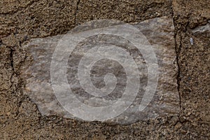 The texture of the surface of natural stone, close-up. Building material of ancient civilizations. Background. Spaces for text