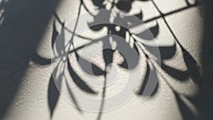 The texture of the surface is slightly rough, with a light gray background