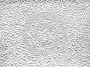 Texture of the surface of white styrofoam.