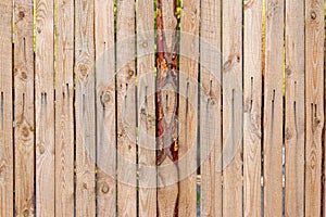 Texture of tall wooden fence made of waste board