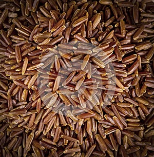 Texture of tasty raw brown rice. Close up