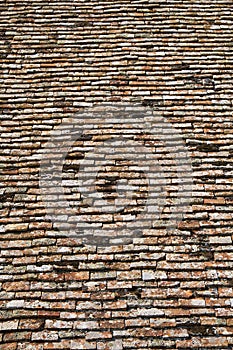 Texture of terracota tiles. photo
