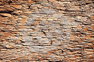 Texture torn wooden surface