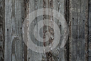 Texture of the tree background. natural old wood with a crack . Blank for design.