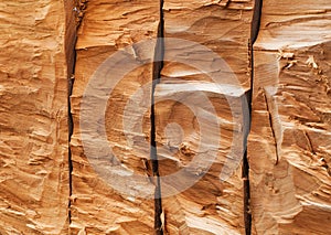 Texture of tree,wood, grain irregular