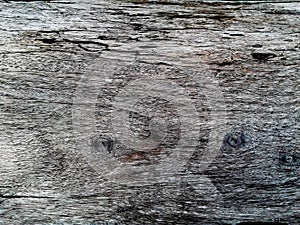 Texture of a trunk old tree