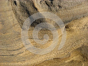 Texture of very weathered seaside rock.